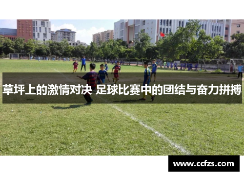 草坪上的激情对决 足球比赛中的团结与奋力拼搏