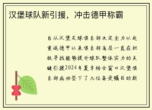 汉堡球队新引援，冲击德甲称霸