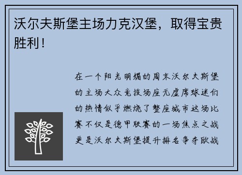 沃尔夫斯堡主场力克汉堡，取得宝贵胜利！